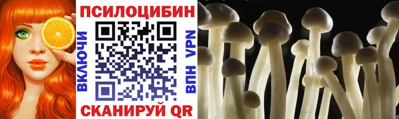Псилоцибиновые грибы Psilocybine cubensis  Долинск 